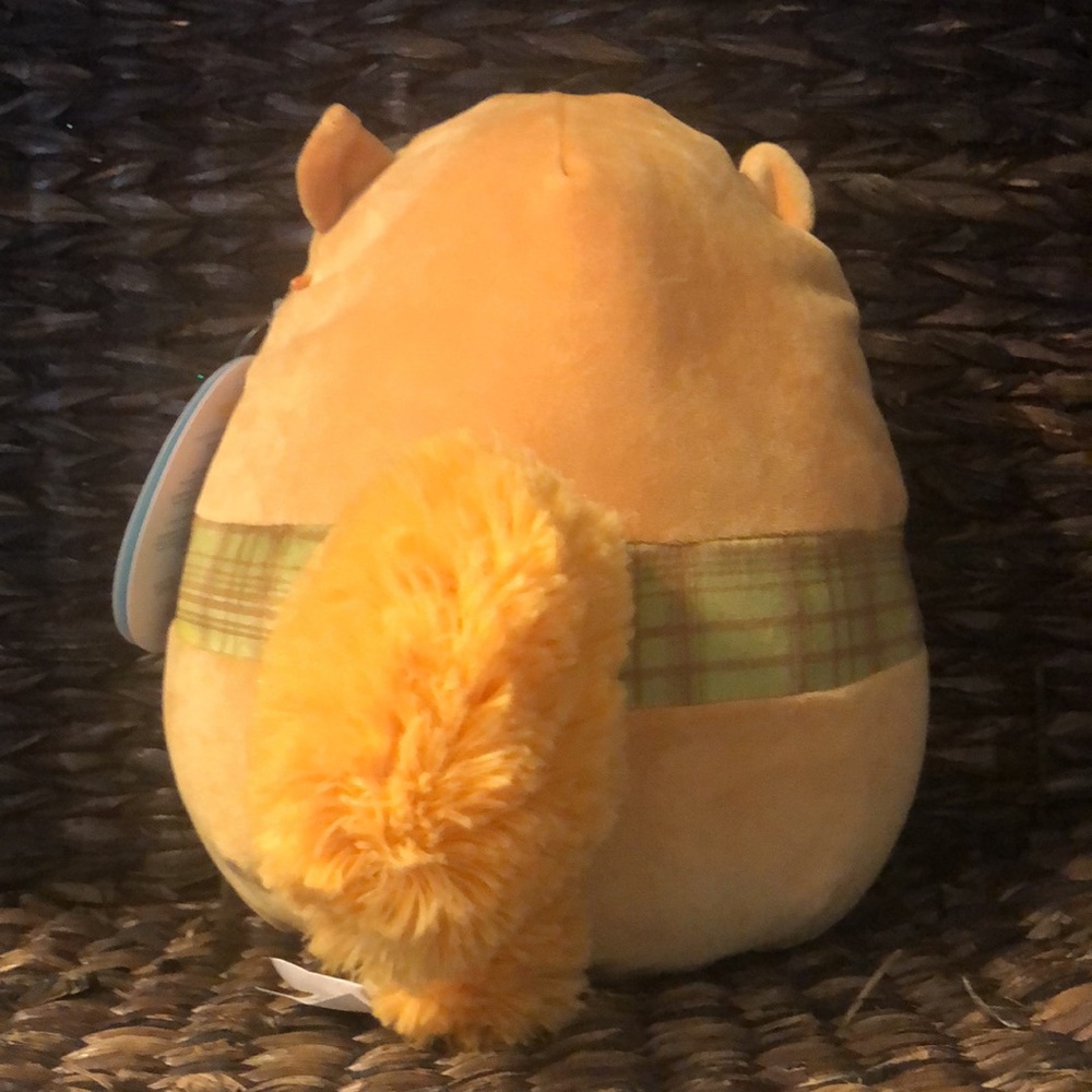 SALE ❤️ NWT Squishmallows Erin the Squirrel Fall collection Stuffed Plush - Picture 3 of 11